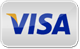 Visa Card Logo